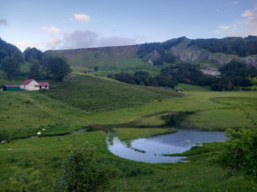 Jezerca Wild Beauty